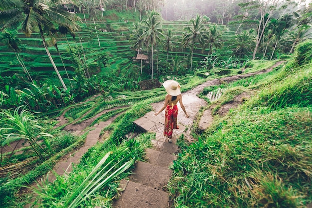 Mulher no terraço de arroz tegalalang em bali