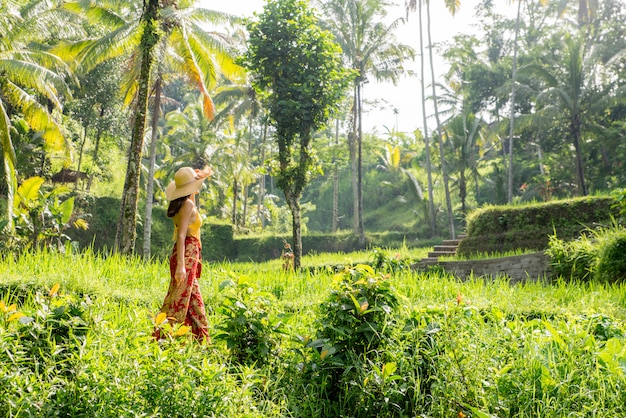 Mulher no terraço de arroz Tegalalang em Bali