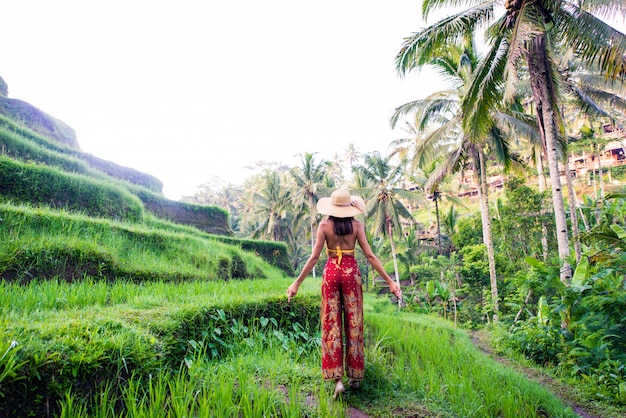 Mulher no terraço de arroz Tegalalang em Bali