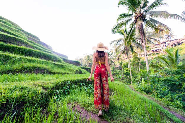 Mulher no terraço de arroz Tegalalang em Bali