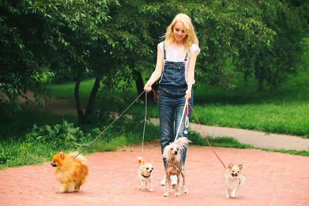 Mulher passeando com cachorros no parque