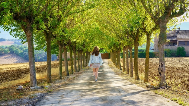 Mulher passeando por um caminho entre árvores alinhadas em um dia ensolarado e ao pôr do sol