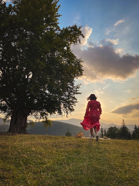 Mulher perto da velha faia grande nas montanhas