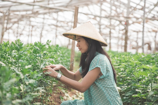 Mulher que trabalha em uma fazenda