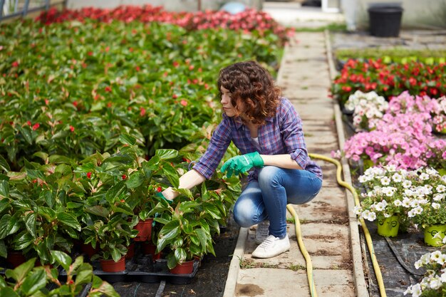 Mulher que trabalha em uma loja de jardinagem