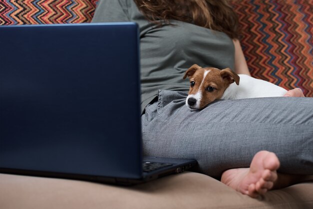 Mulher que trabalha no computador portátil e cachorrinho jack russel terrier no sofá. Trabalho remoto do conceito de casa. Bom relacionamento com animais de estimação