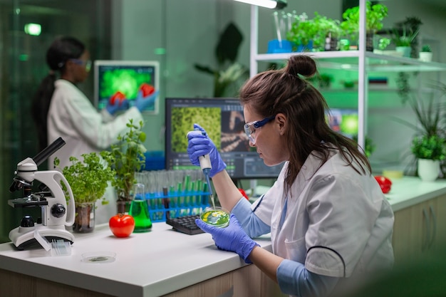 Mulher químico tirando dna líquido de um tubo de ensaio com micropipeta, colocando em uma placa de Petri, analisando a mutação genética. Pesquisador biólogo atuando em laboratório farmacêutico.