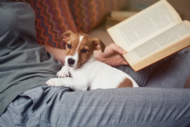 Mulher relaxando no sofá e lendo um livro com o cachorrinho jack russel