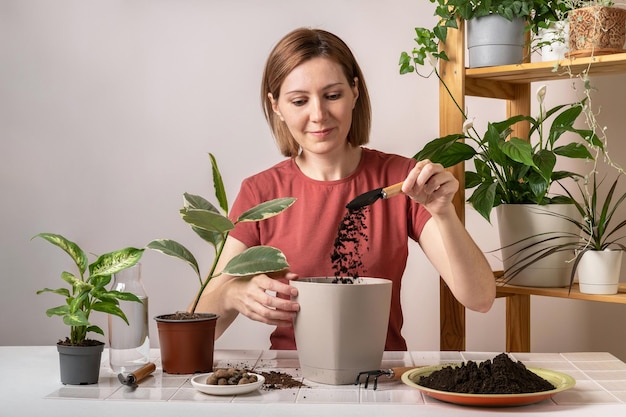 Mulher replantando uma planta jovem de ficus em um novo vaso de flores Jovem mulher bonita cuidando de vasos de plantas de interior Passatempo envolvente