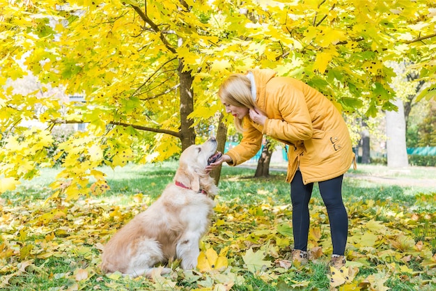 mulher se comunica alegremente e caminha com seu retriever enquanto caminha entre as folhas amarelas do outono