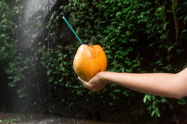 Mulher segura a bebida de coco na mão ao lado da cachoeira.