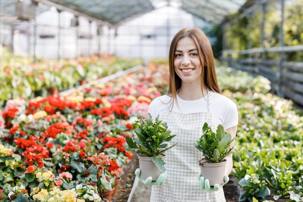 Mulher segura um vaso de flores nas mãos cultivando plantas para venda como flores de presente em uma planta de estufa