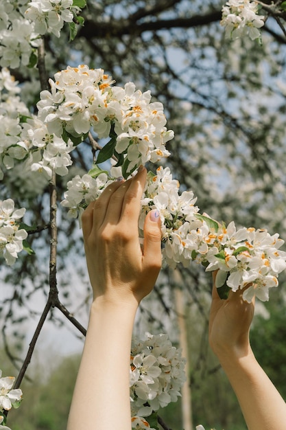 Mulher segurando flores de primavera em suas mãos flores de primavera