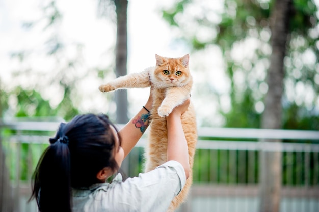 Mulher segurando gato brincando em casa com amor por gatos O sorriso brilha em seu vínculo com seu gato fofo de estimação A relação entre pessoas e gatos donos de gatos gatos domésticos gatos gordos