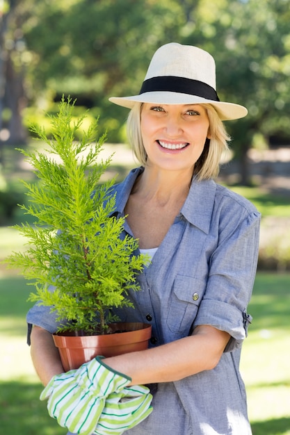 Mulher, segurando, potted, planta, jardinagem