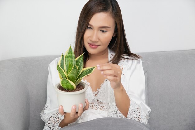 Mulher segurando sansevieria trifasciata prain ou planta cobra em vasos de cerâmica branca