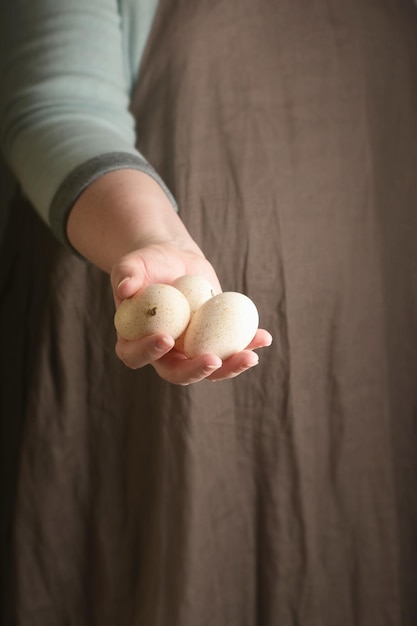 Mulher segurando três ovos de peru na mão Estilo rústico