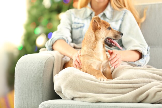 Mulher segurando um cachorrinho fofo e engraçado na cadeira na superfície da árvore de natal