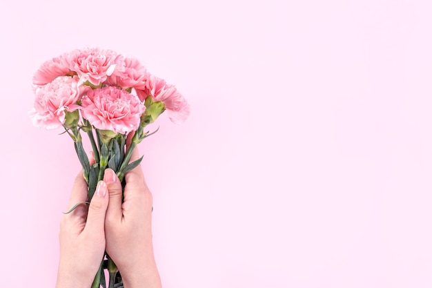 Mulher segurando um cravo rosa sobre fundo de mesa rosa