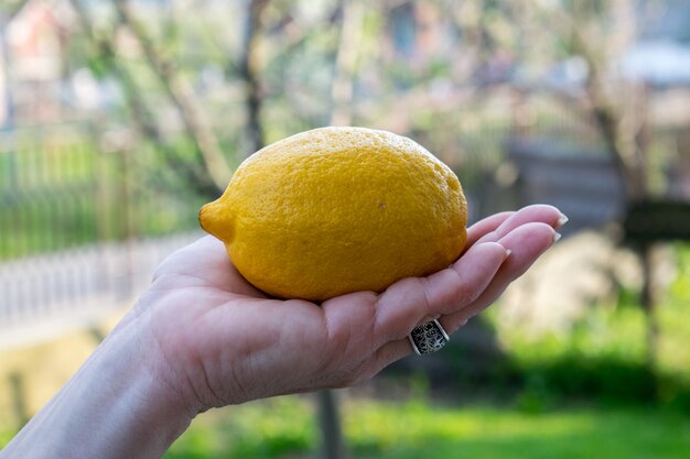 Mulher segurando um limão
