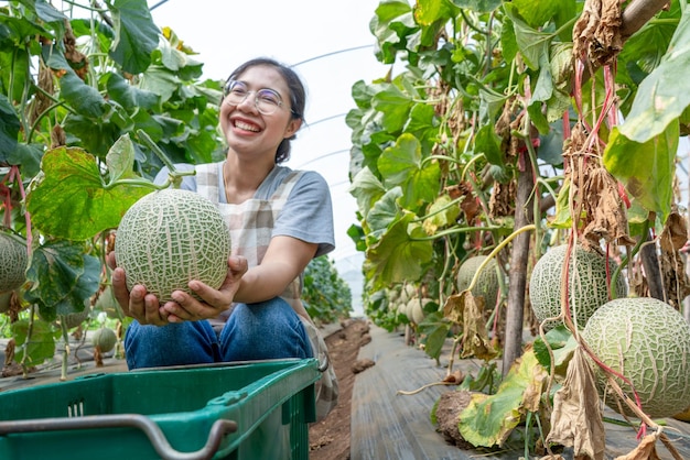 Mulher segurando uma fruta de melão orgânico verde ou melão na casa verde de planta de fazenda de melão