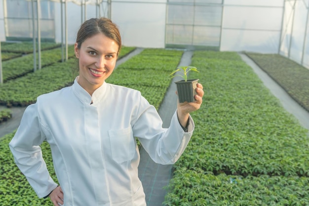 Mulher segurando vaso de planta no viveiro de estufa. Estufa de Mudas.