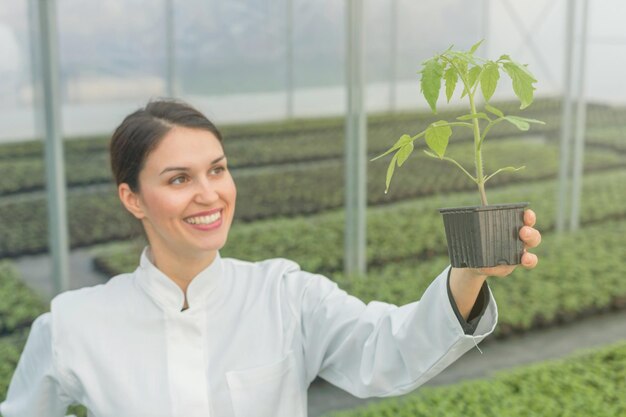 Mulher segurando vaso de planta no viveiro de estufa. Estufa de Mudas.