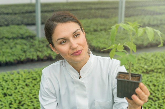 Mulher segurando vaso de planta no viveiro de estufa. Estufa de Mudas.