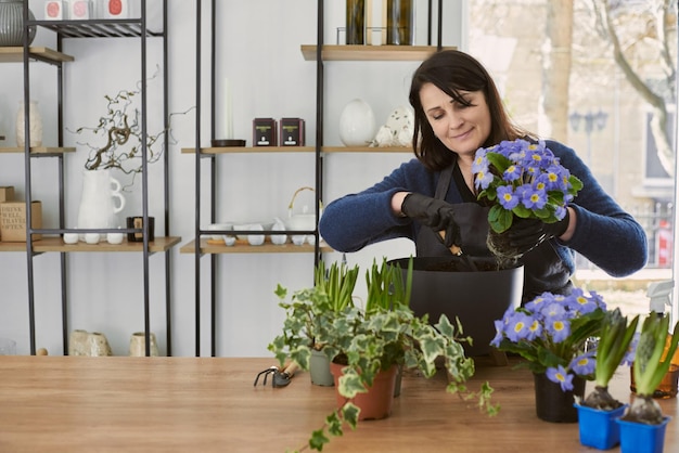 Mulher sênior transplanta vasos de flores dentro de casa