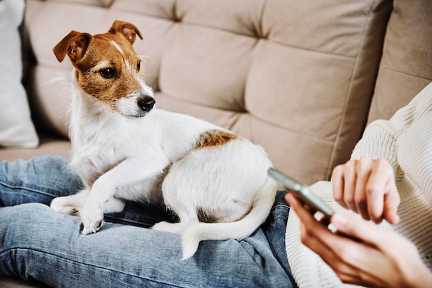 Mulher sentada com cachorro e usando smartphone