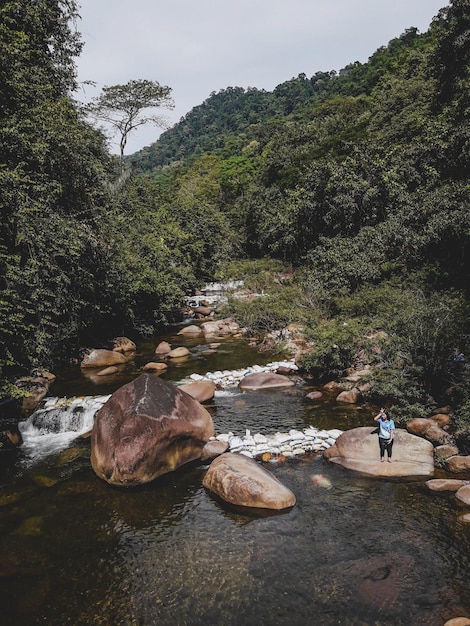 Mulher sentada em uma rocha à beira de um lago na floresta