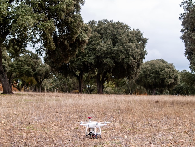 Foto mulher sentada no campo por árvores contra o céu