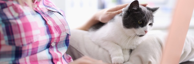 Mulher sentada no sofá com o gato e trabalhando remotamente no laptop