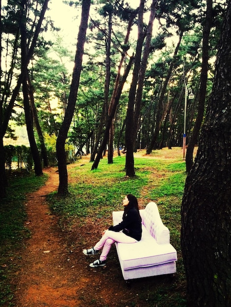 Foto mulher sentada no sofá junto às árvores na floresta