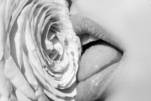 Mulher sexy beijando flor rosa vermelha Lábios com batom closeup Lábios de mulher bonita com rosa Boquete de menina com símbolo de língua