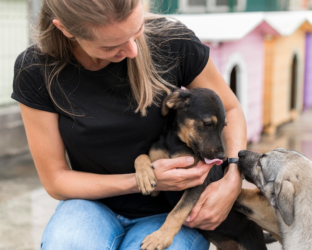 Mulher sorridente brincando com cães de resgate em abrigo de adoção