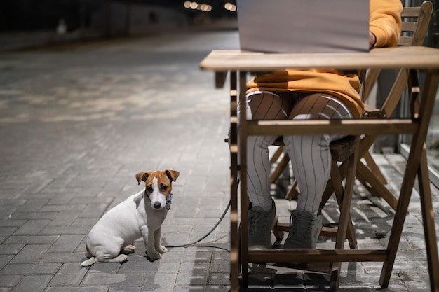 Mulher sorridente trabalhando no laptop em uma mesa de madeira na rua A garota olha para o monitor e Jack Russell Terrier senta na coleira Freelancer passeia com o cachorro à noite Um filhote leal