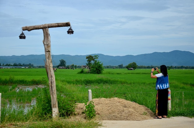 Mulher tailandesa usa telefone inteligente tira foto e campo de arroz em phrae tailândia