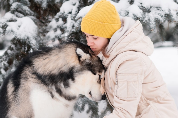 Mulher tenta beijar malamute do Alasca na floresta de inverno. fechar-se.