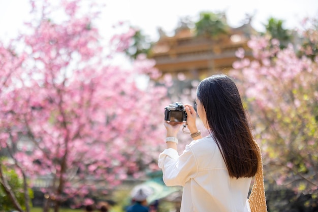 Mulher tira foto em árvore de sakura em templo chinês