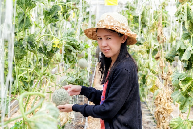 Mulher, toque, melão, fruta, em, fazenda