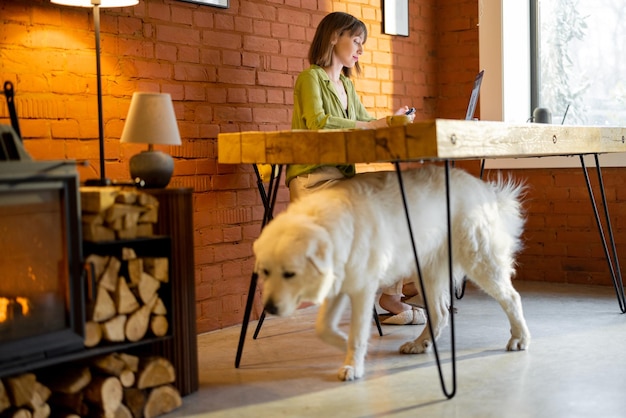 Mulher trabalha no laptop na aconchegante sala de estar com um cachorro