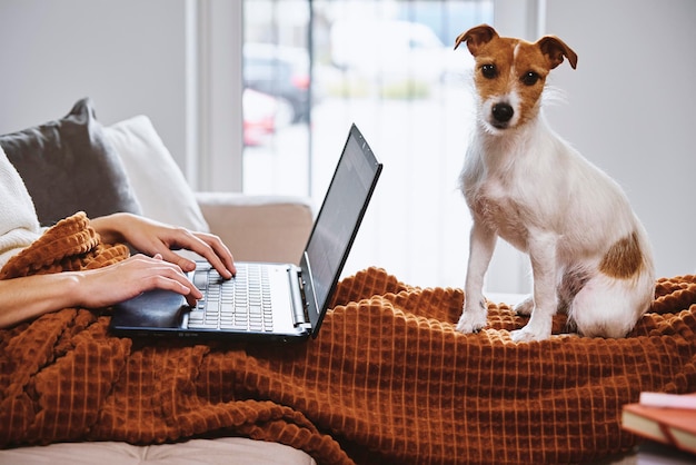 Mulher trabalhando em casa com o cachorro