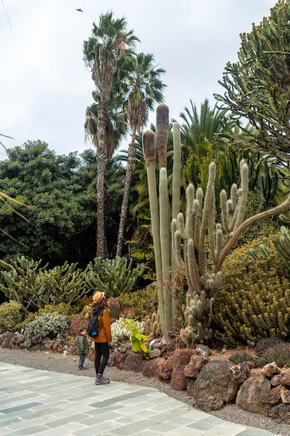 Mulher turista com chapéu desfrutando e passeando em um jardim botânico tropical com muitos captus