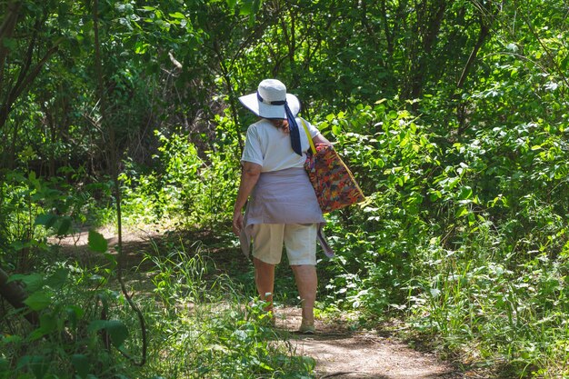 Mulher turista sênior na floresta