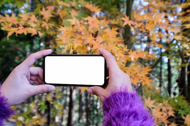 Mulher turista tirando uma foto de folhas de bordo no outono do smartphone