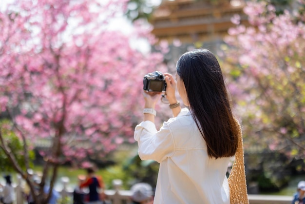 Mulher turista usa câmera digital para tirar foto com árvore de sakura