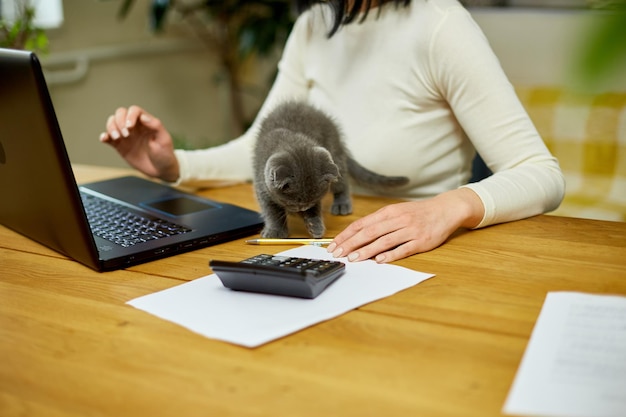 Mulher usa estilo confortável está trabalhando em um notebook preto e gatinho está deitado na mesa