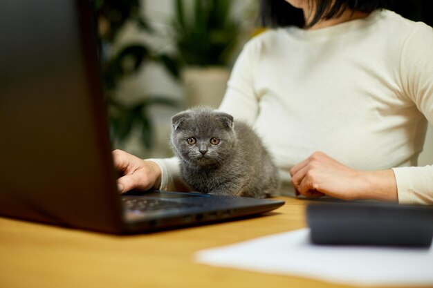 Mulher usa estilo confortável está trabalhando em um notebook preto e gatinho está deitado na mesa