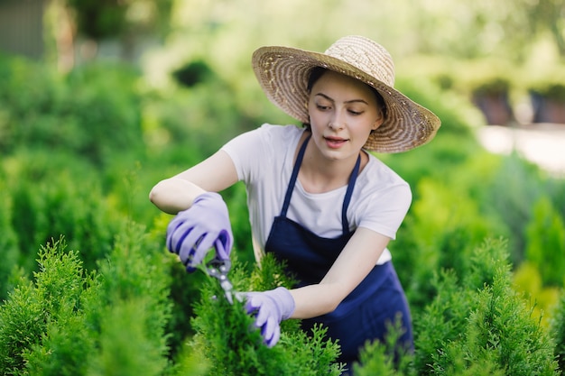 Mulher usa ferramenta de jardinagem para aparar sebes, cortando arbustos com tesouras de jardim.